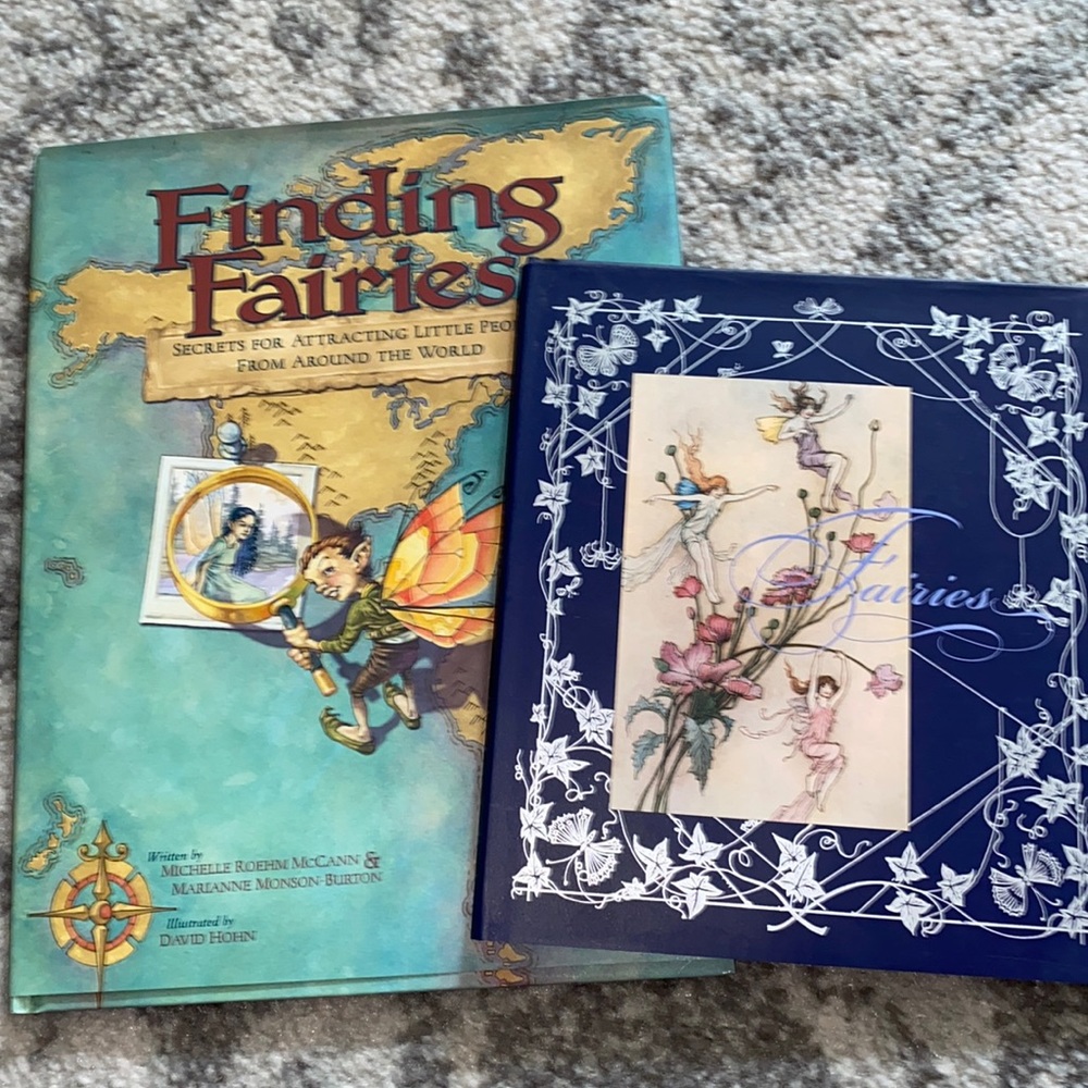 Fairies Book Lot